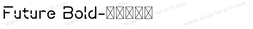 Future Bold字体转换